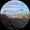 amandarapp423